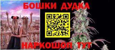 скорость Бердск