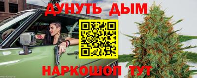 скорость Бердск