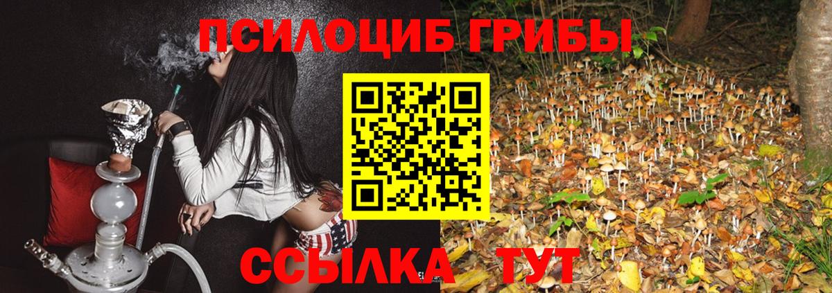 Псилоцибиновые грибы мухоморы  Псилоцибиновые грибы Magic Shrooms  Вход с VPN  Белая Калитва 