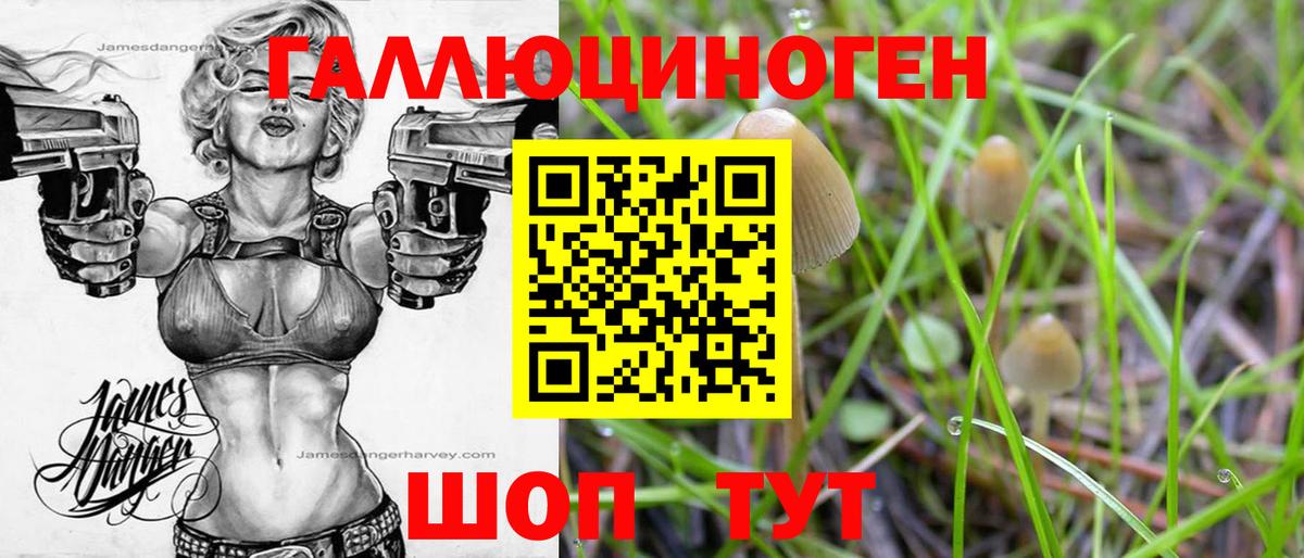 Галлюциногенные грибы прущие грибы Белая Калитва